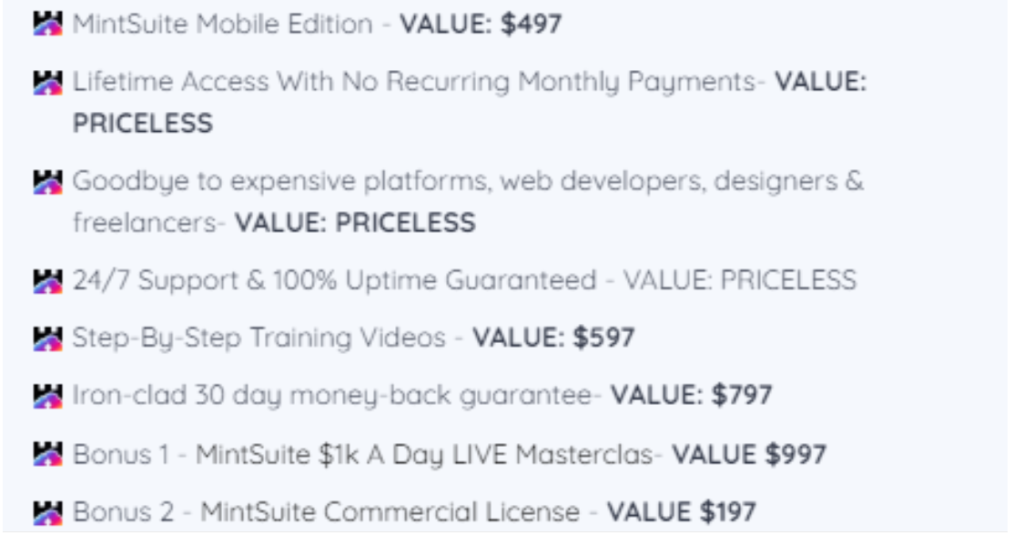 MintSuite Review