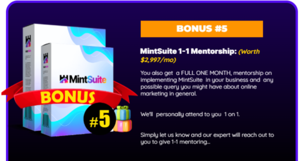 MintSuite Review